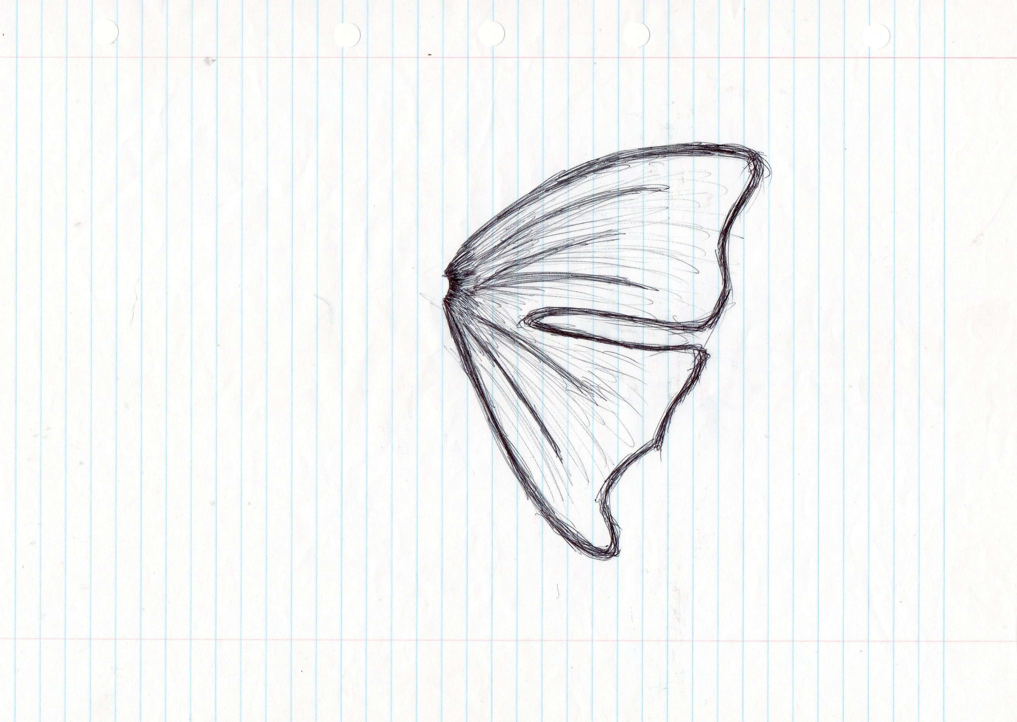 Butterfly wing Image Fifth drawing Closed angel wing set